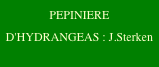 PEPINIERE 