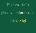 Plantes - info 